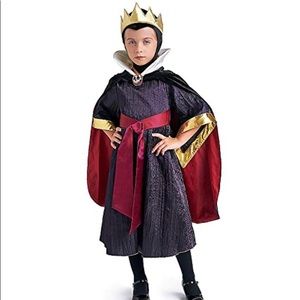 Disney Evil Queen Costume